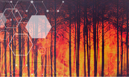 AxxonSoft's AI Fights Forest Fires in Belarus