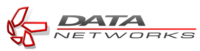 Data Networks logo