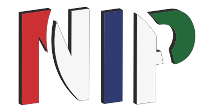 Netvision IP logo