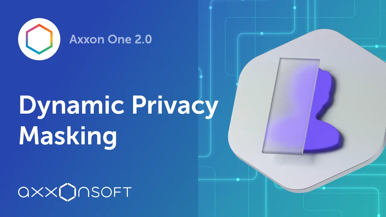 Dynamic Privacy Masking
